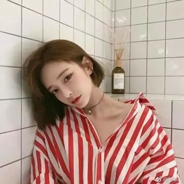 骆驼复仇记